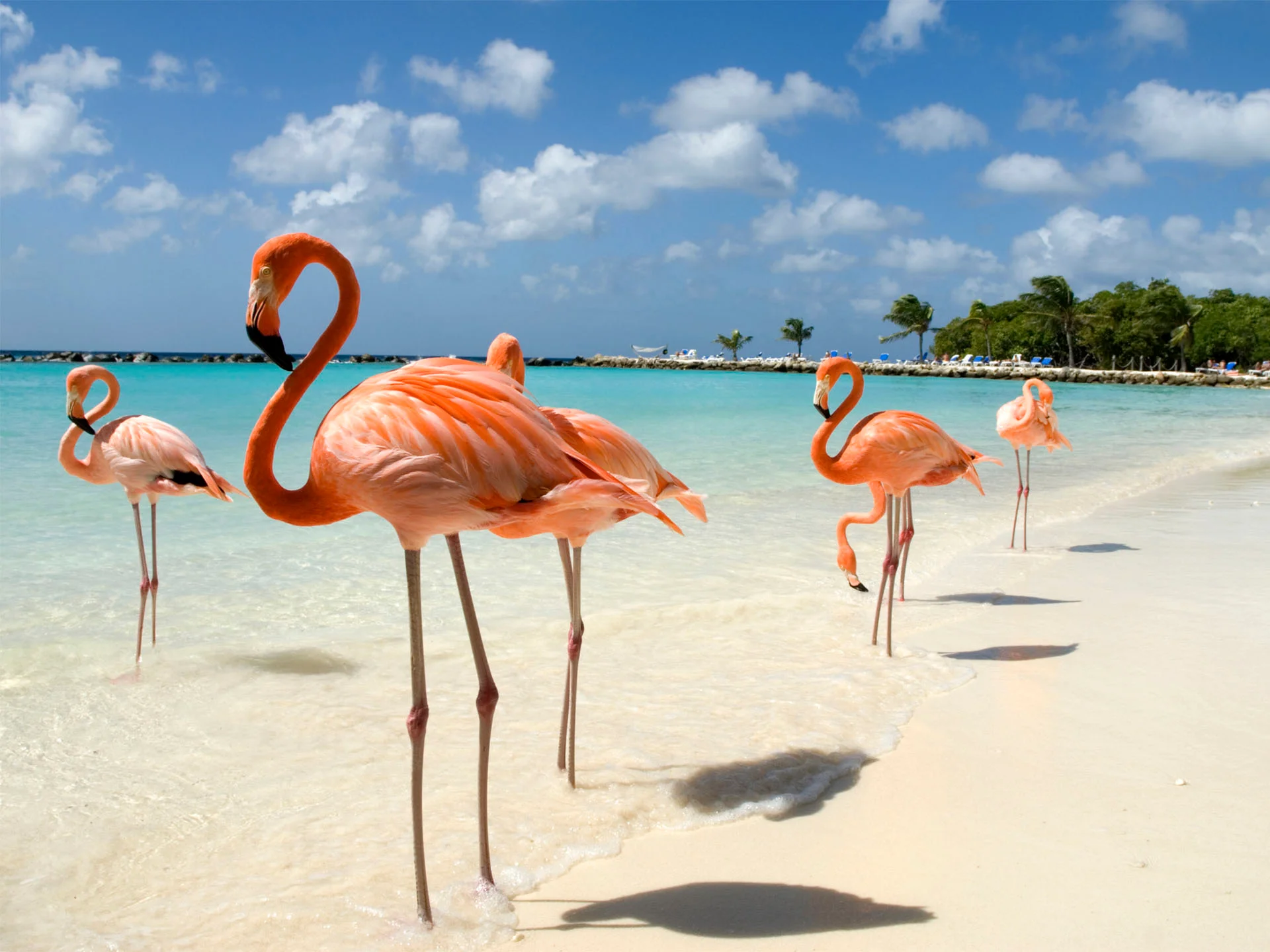Aruba
