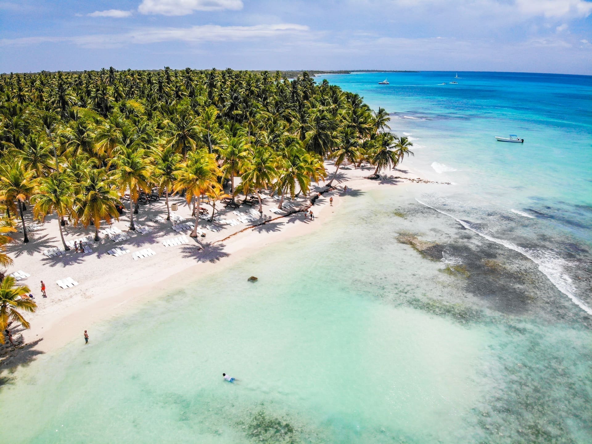 Playa de arena blanca y palmeras en Punta Cana, República Dominicana