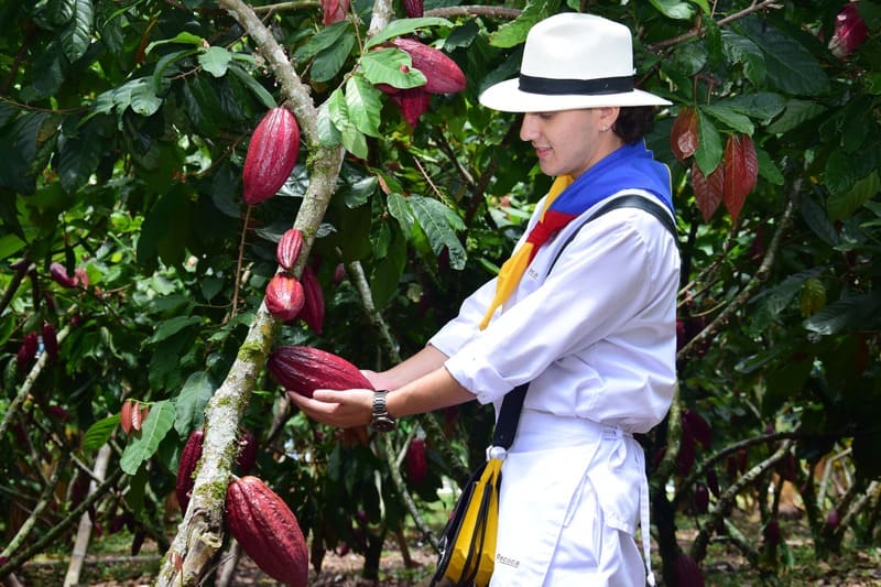 Tour del Cacao